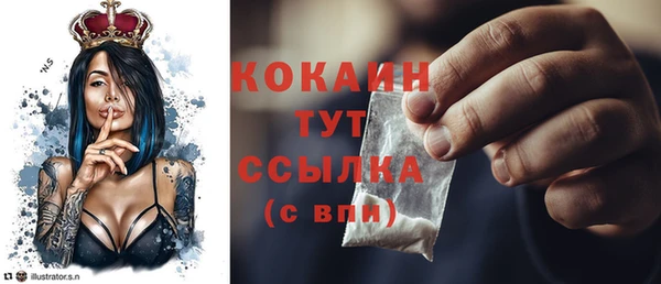 гидра Новокубанск